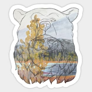 Old Bear Sticker Sticker